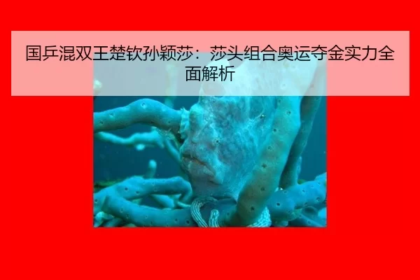 guo-ping-hun-shuang-wang-chu-qin-sun-ying-sha-sha-tou-zu-he-ao-yun-duo-jin-shi-li-quan-mian-jie-xi-2-458.jpg