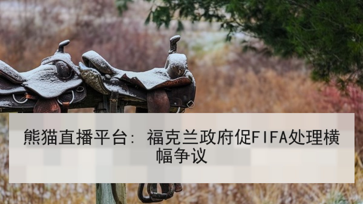 熊猫直播平台: 福克兰政府促FIFA处理横幅争议
